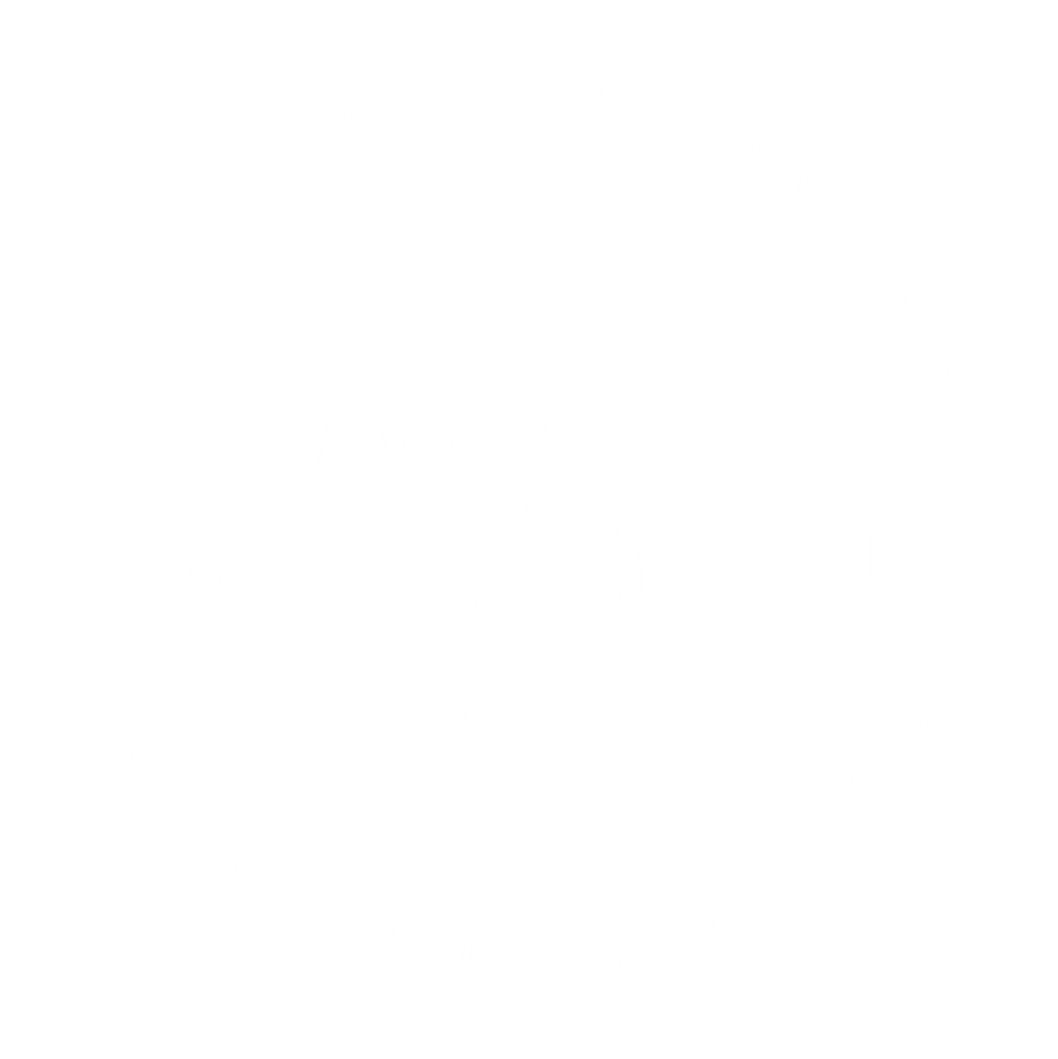 Luana Gayoso  Neurologia Veterinária